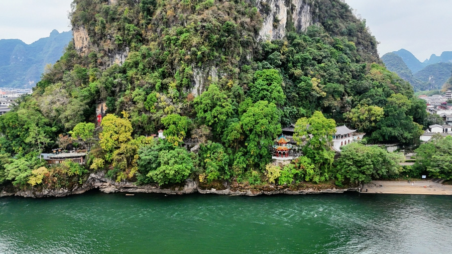 桃林花海景色